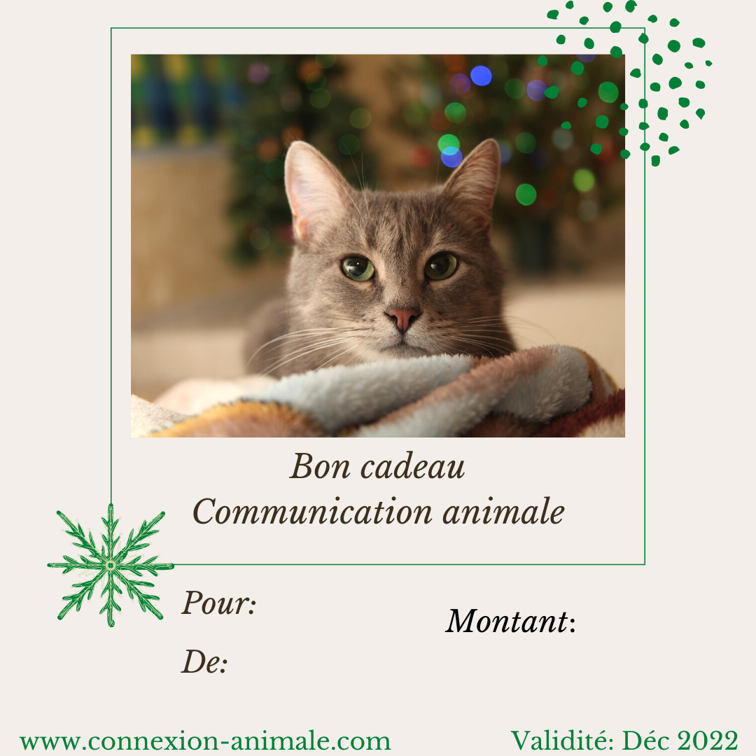 Joie D’offrir – Bon Cadeau – Connexion Animale