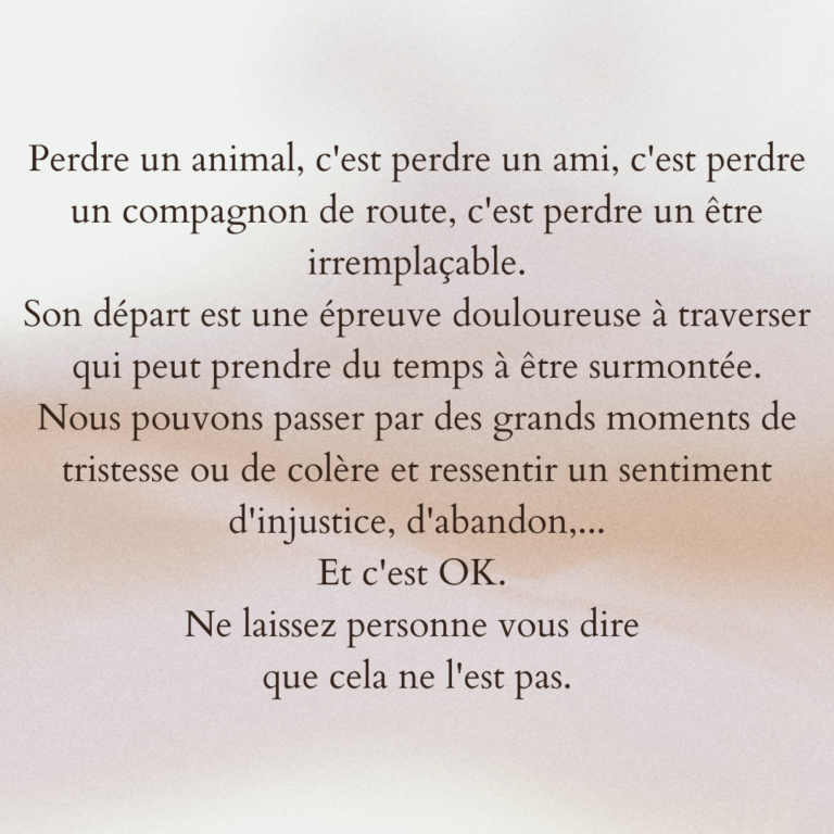deuil communication animaux