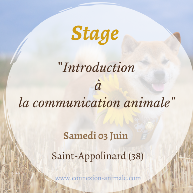 Stage formation isère grenoble lyon communication animale