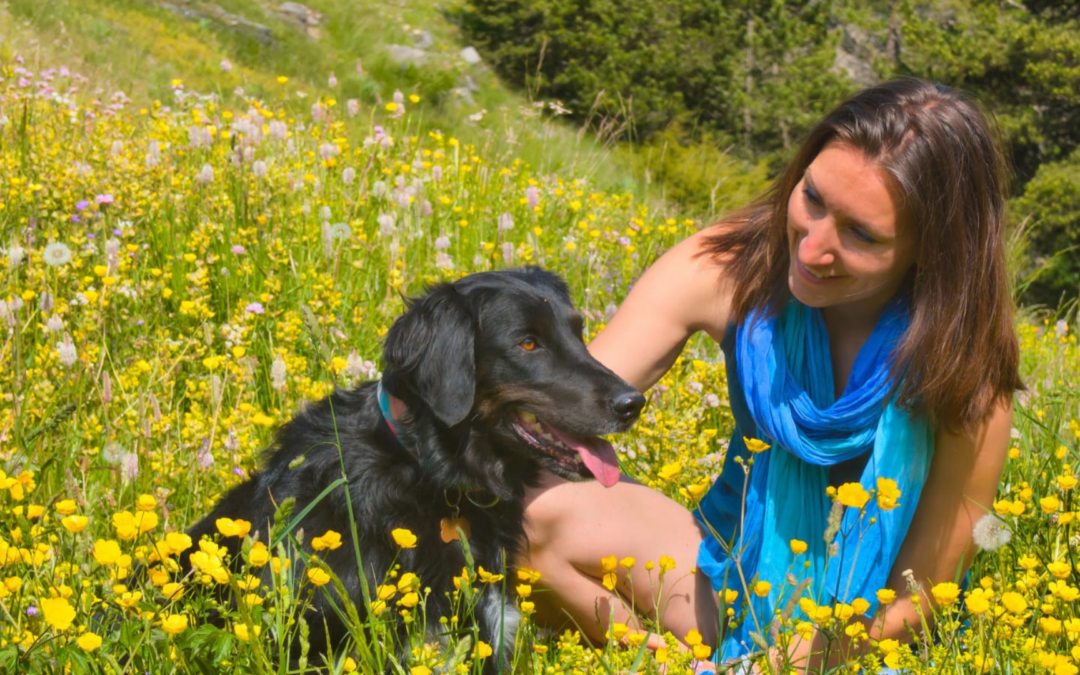La communication intuitive n&rsquo;est pas un outil