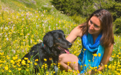 La communication intuitive n’est pas un outil