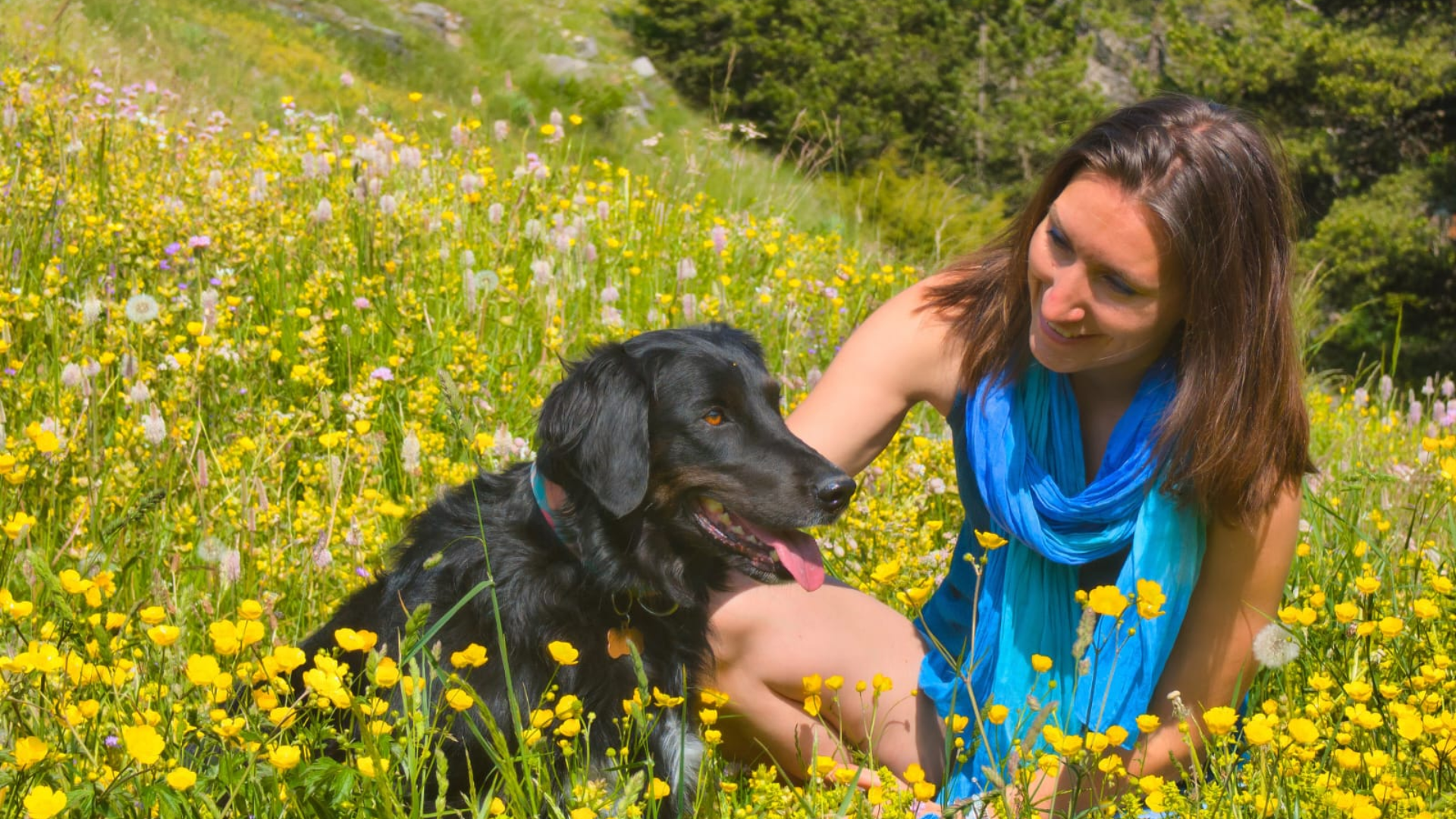La communication intuitive n'est pas un outil