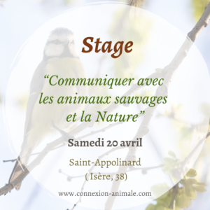 Stage communication nature isère