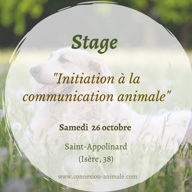 Formation communication animale isère grenoble