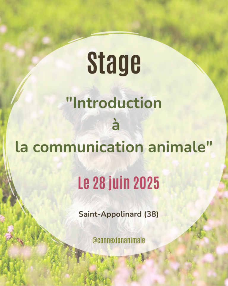 formation initiation CA isère