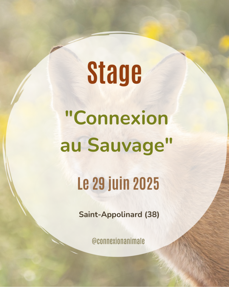 stage communication sauvage