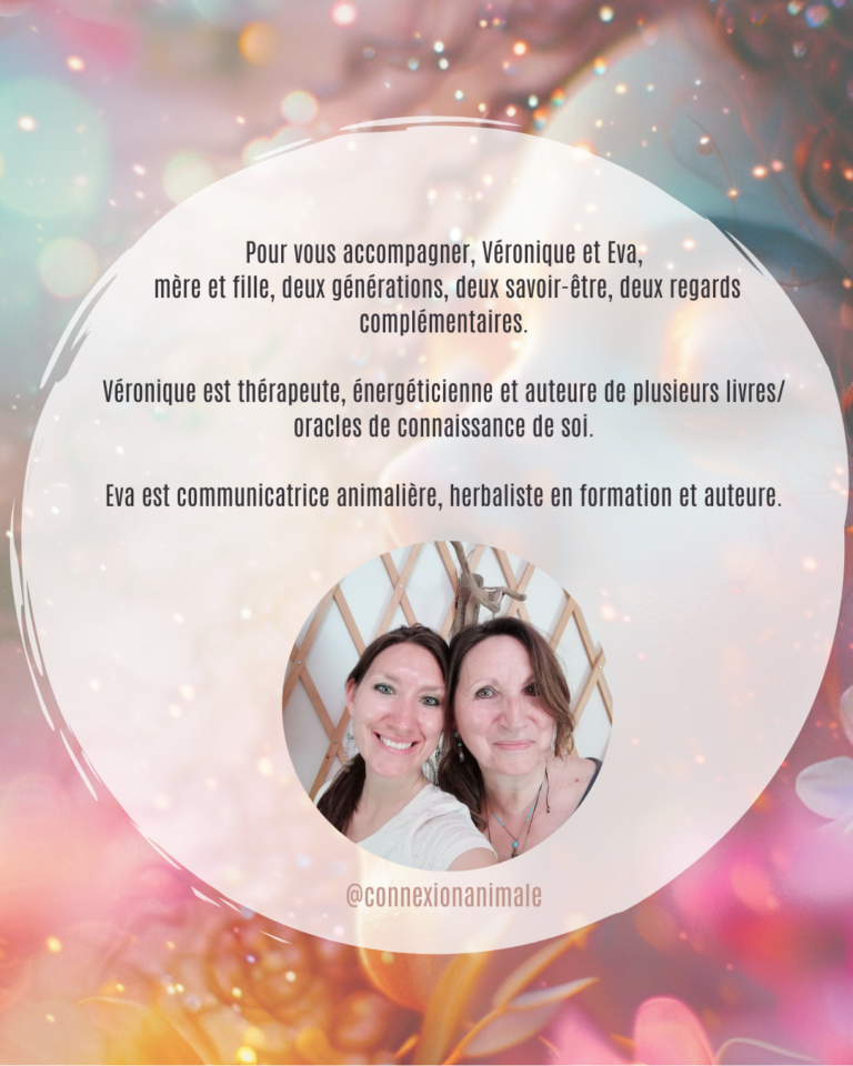 stage énergie féminine