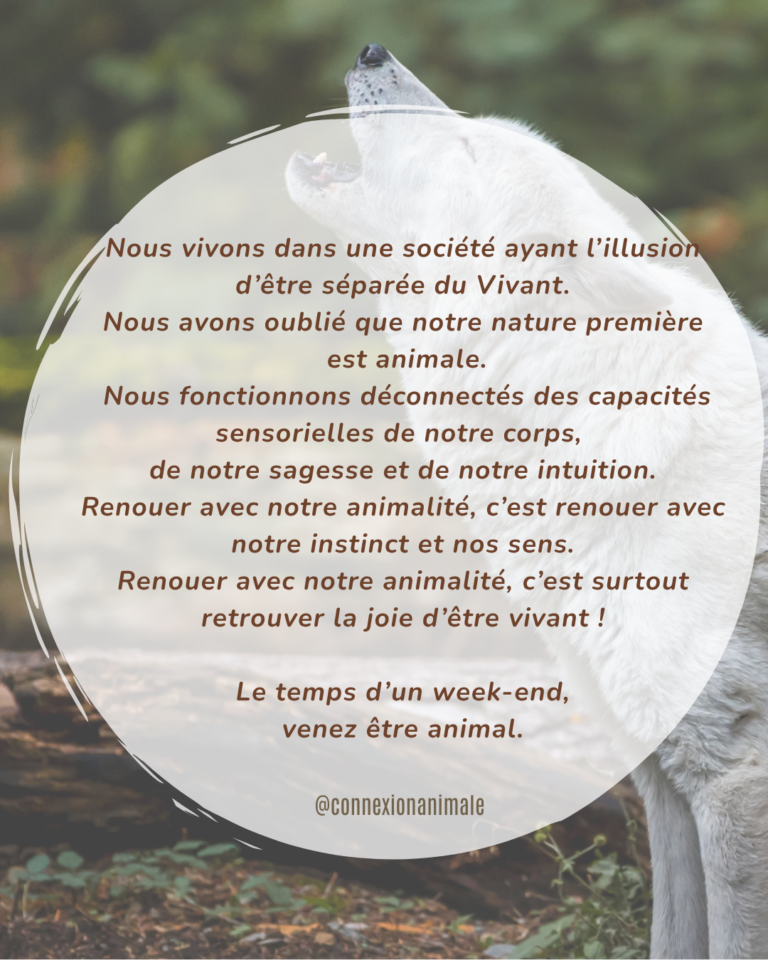 intuition instinct sensorialité