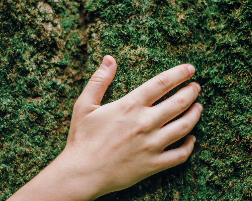Stage communication avec la nature - Eva Lartigau