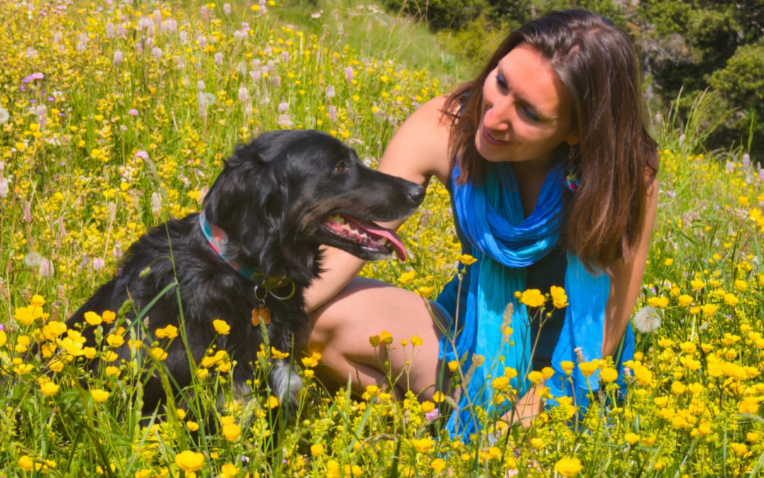 Faire équipe avec son chien